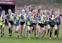 Holley Weedall, 385, at the start of the under 15s race surrounded by Vale Royal clubmates. Picture: Mike Boden
