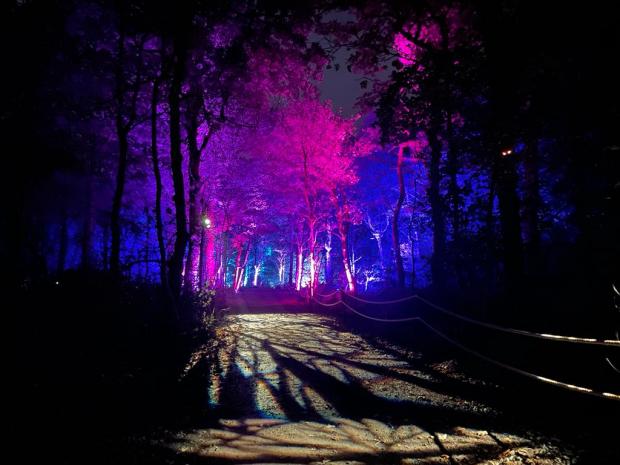 Northwich Guardian: Magical lights transform the woodland