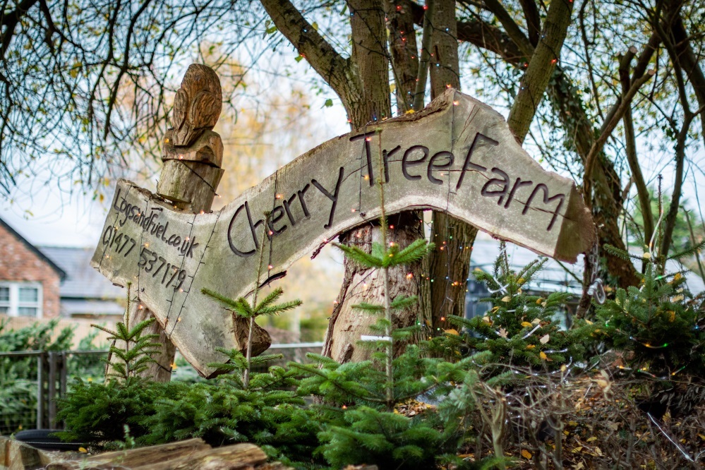 Cherrytree Farm has thousands of Christmas trees