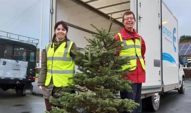 Volunteers Rachel Hughes and Stuart Forbes will be collecting and recycling trees in return for donations to the hospice