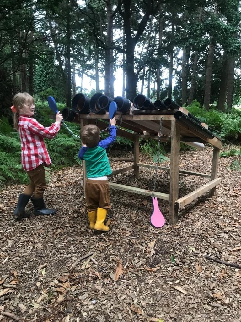 Youngsters explore the forest