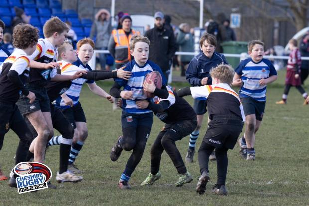 The 2022 Cheshire U11s Rugby Festival at Winnington Park Rugby Club. Pictures: Simon Raeburn Photography
