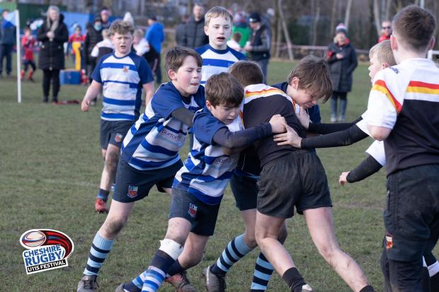 Northwich Guardian: The 2022 Cheshire U11s Rugby Festival at Winnington Park Rugby Club. Pictures: Simon Raeburn Photography