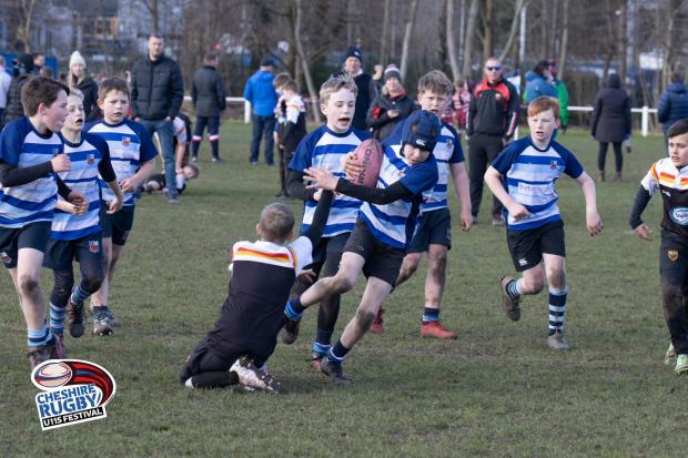 Northwich Guardian: The 2022 Cheshire U11s Rugby Festival at Winnington Park Rugby Club. Pictures: Simon Raeburn Photography
