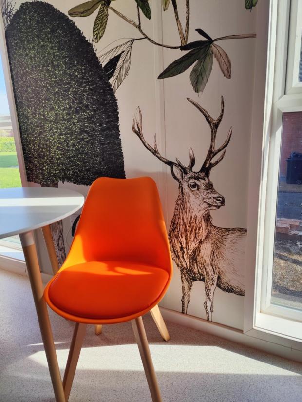 Northwich Guardian: A Tatton Park stag, the company logo, is celebrated on the hand-drawn wallpaper