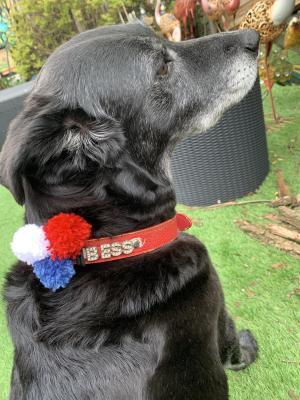 Sue Clerkins Bessie getting ready for the Jubilee with coloured pom poms