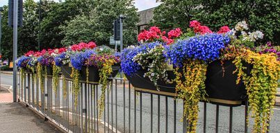 West Kirby in bloom by David Mansell