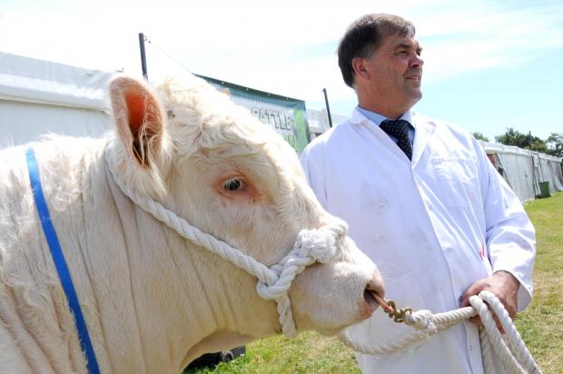 Northwich Guardian: Chris Wardle from Sandbach Charolais and Sovereign