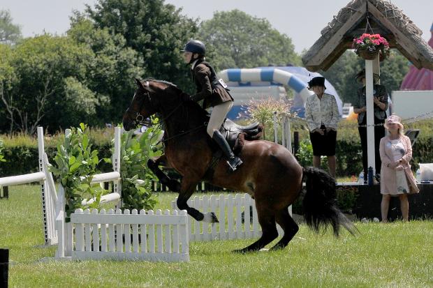 Northwich Guardian: Show jumping 