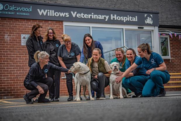 Northwich Guardian: Loyal customer Sue Packenham, from Hartford, and her Boxers, Louie and Paloma, with Team Hartford who have been voted Cheshire’s Best Vets again