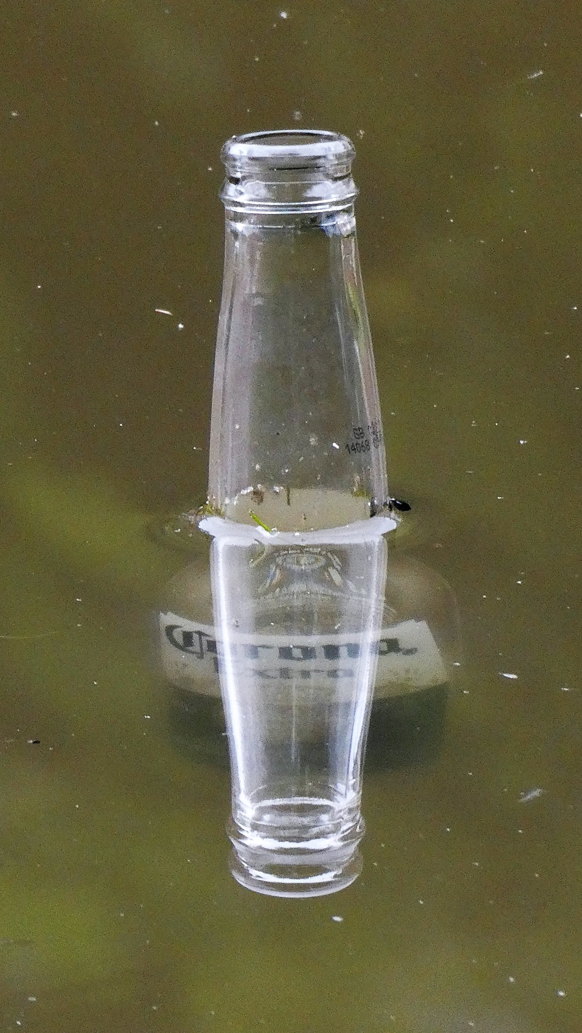 A floating bottle by Lynne Bentley