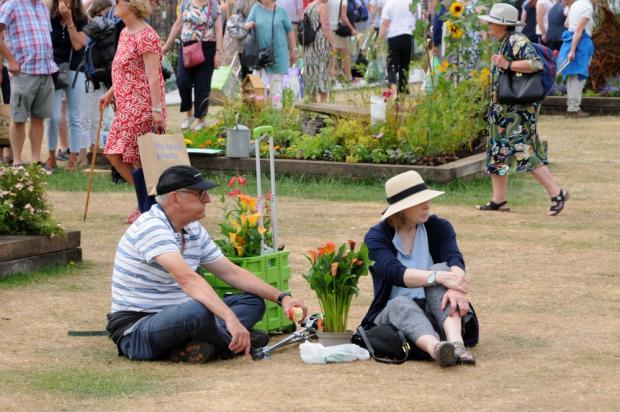 Northwich Guardian: Visitors chose their favourite flowers to take home