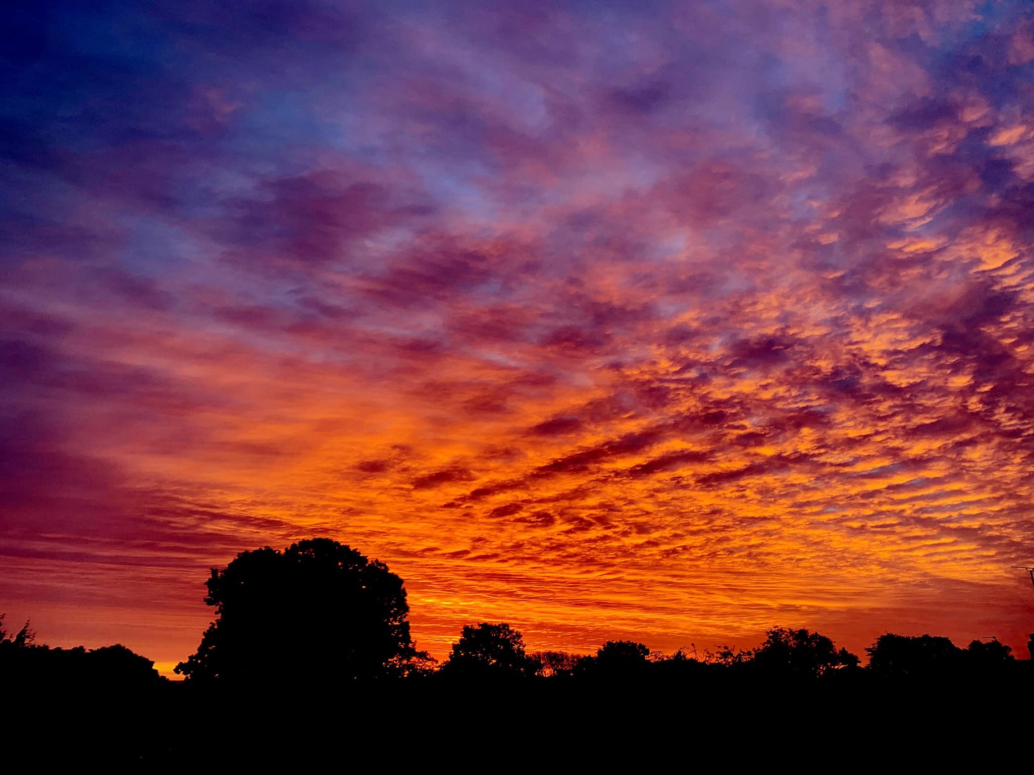 Stunning sunrise over Knutsford by Carly Jo Curbishley