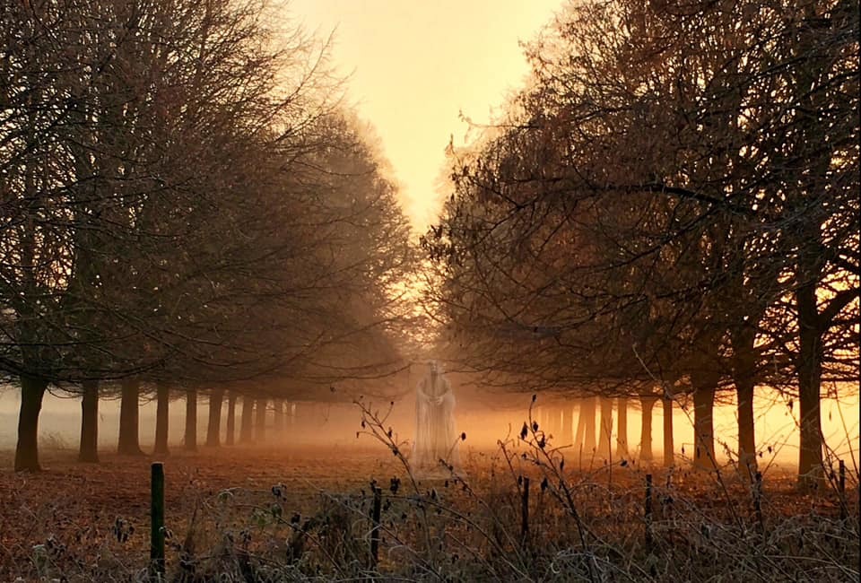 An eerie-looking Marbury Park by Alison Hamlin Hughes