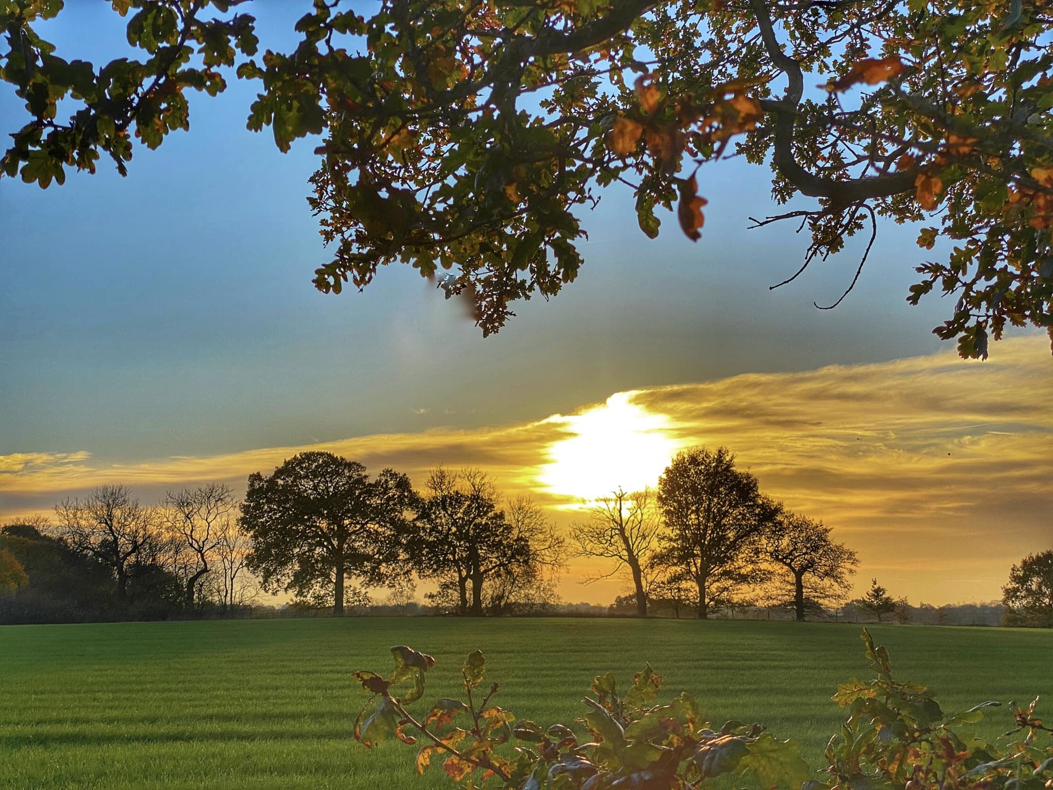 November sunset in Antrobus by Sue Lawless