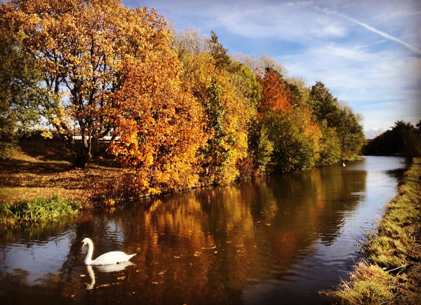 Autumn colours alond the Trent and Mersey canal by Anna Parsons