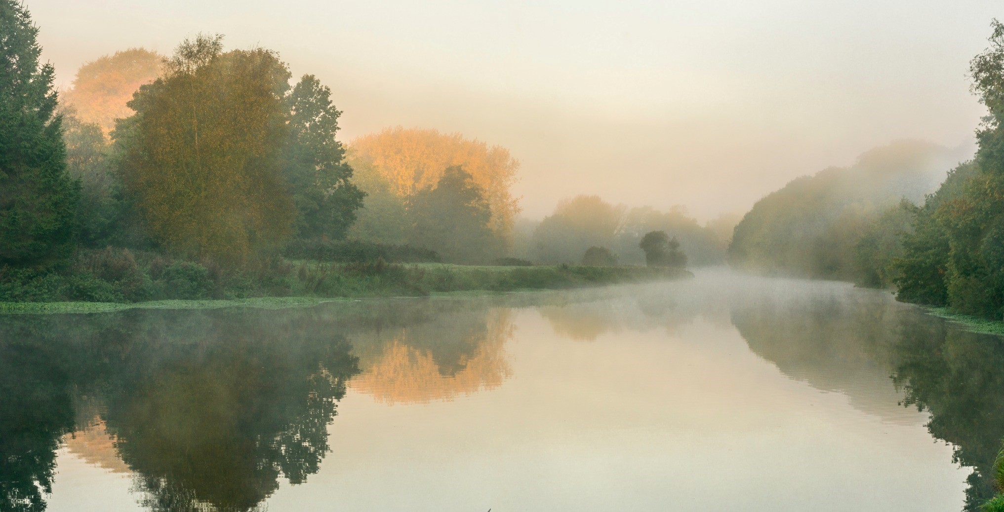 Misty morning on the River Weaver by Alan Bailey