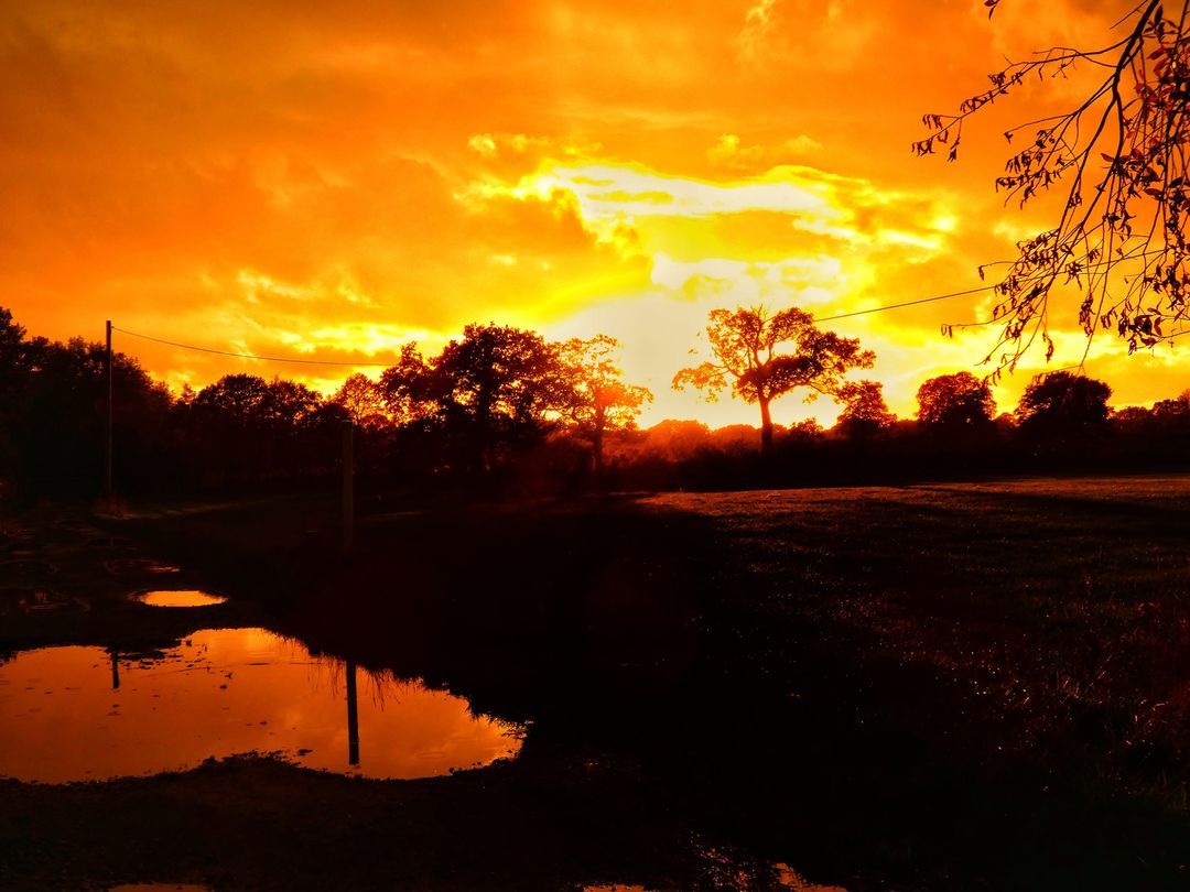 Sunset in Mobberley by Sophie Ralph