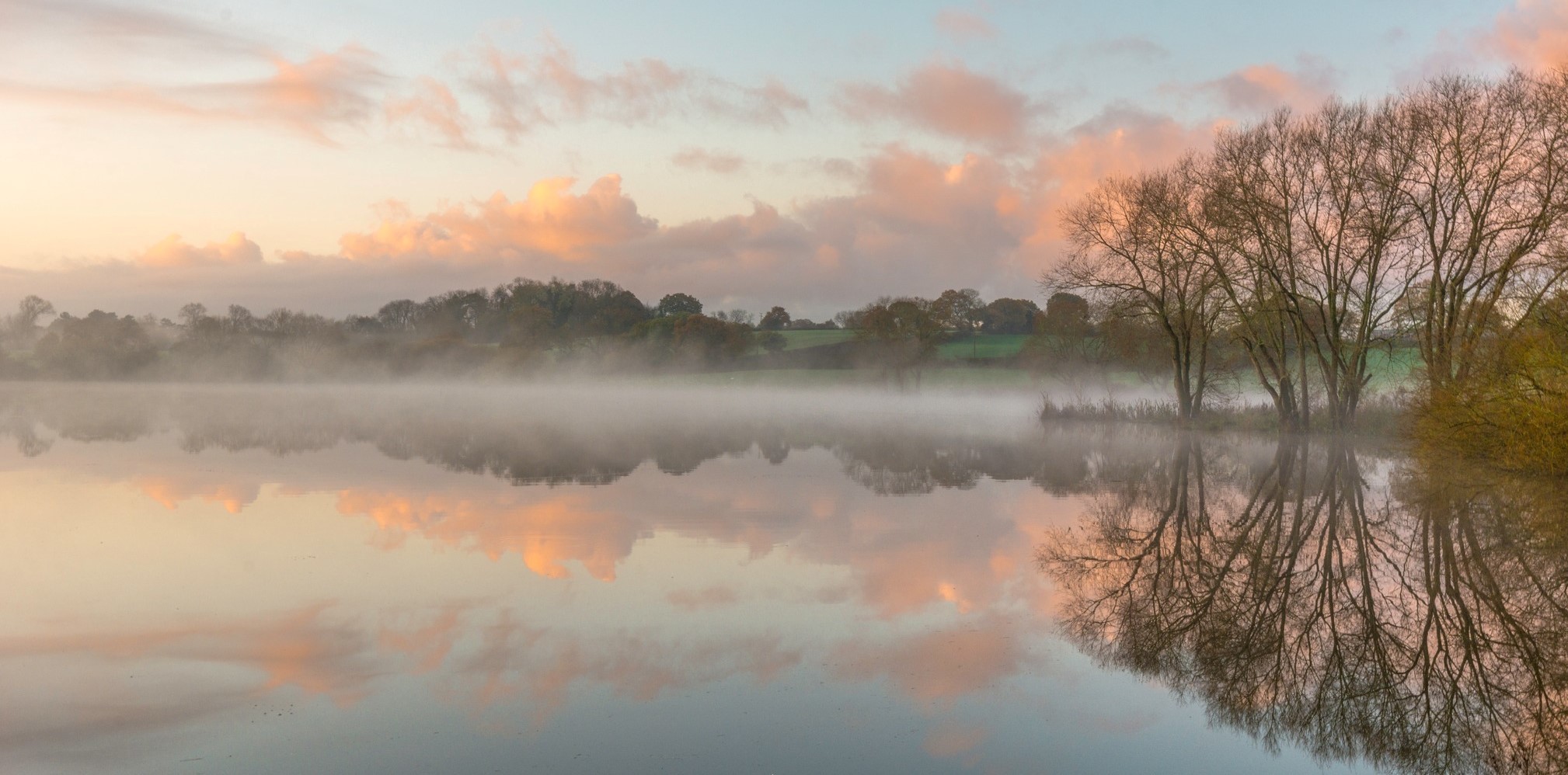 Mist at sunrise by Alan Bailey