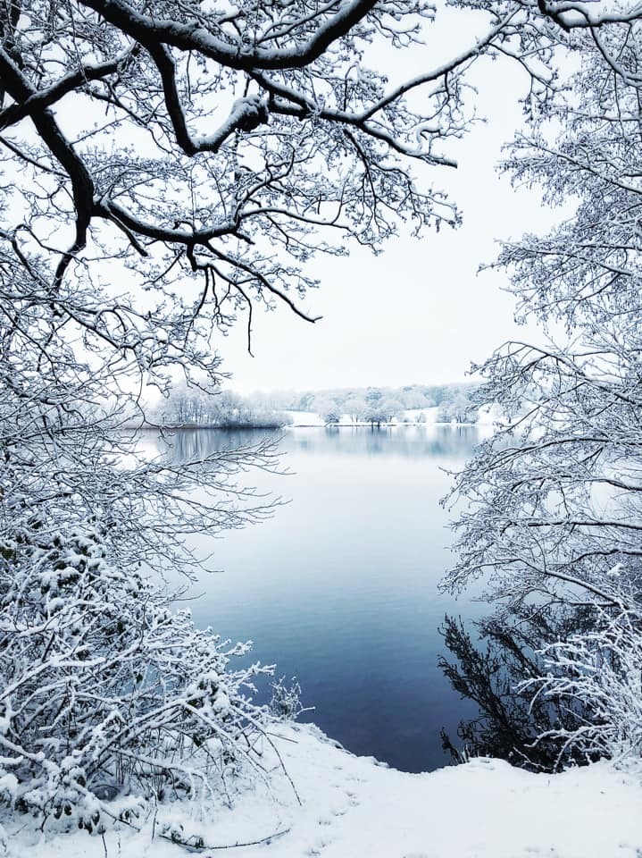 Marbury Park in the depths of winter by Alison Hamlin Hughes