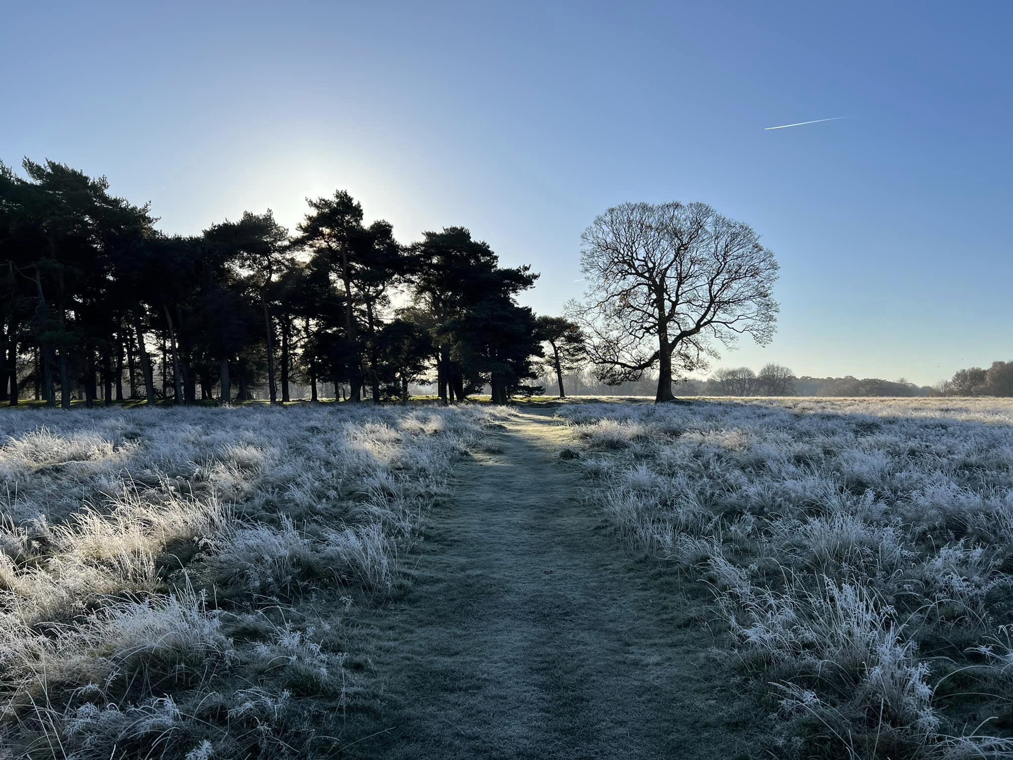 Frosty morning in Tatton Park by Debbie Finch