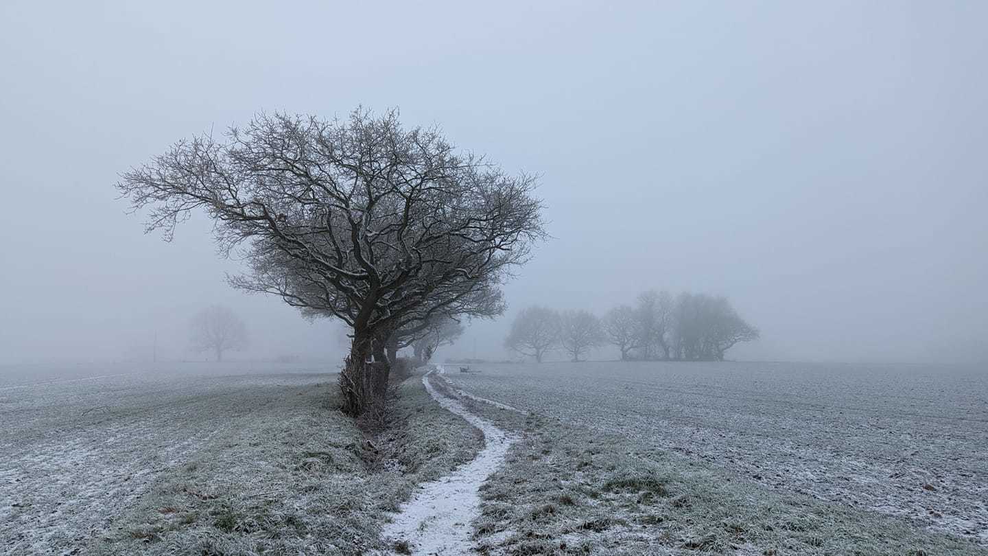 A foggy path from Marbury to Barnton by Lesley Haynes