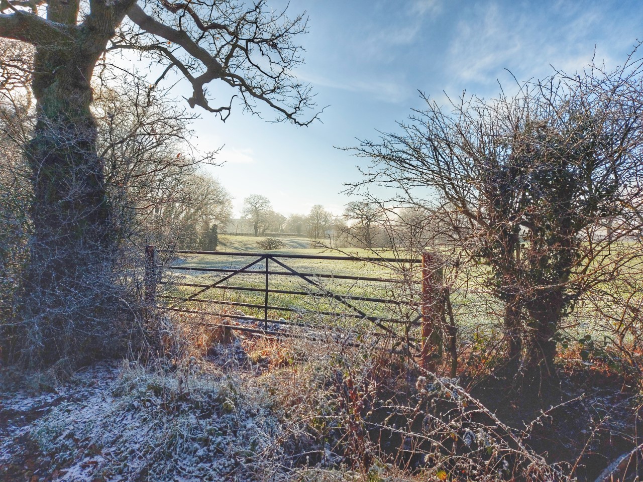 Blakeden Lane, Winsford, just before the snow by Mike Hughes