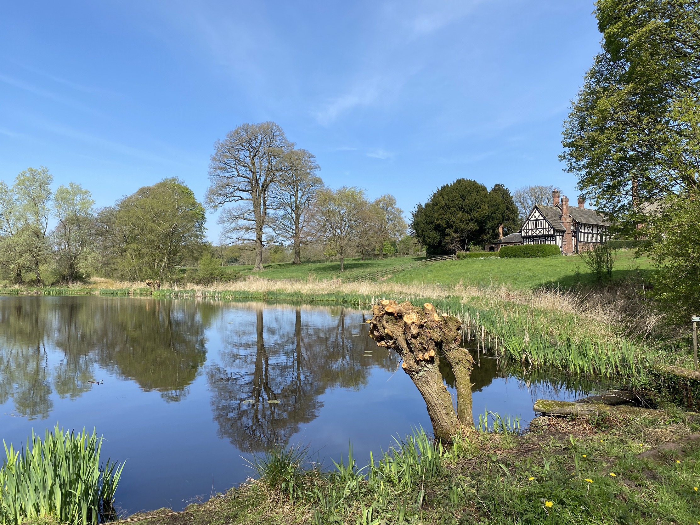 The big pond on the Arley Estate 