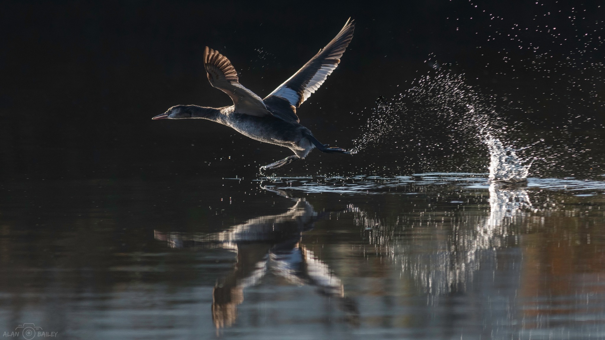 Takeoff on the River Weaver by Alan Bailey