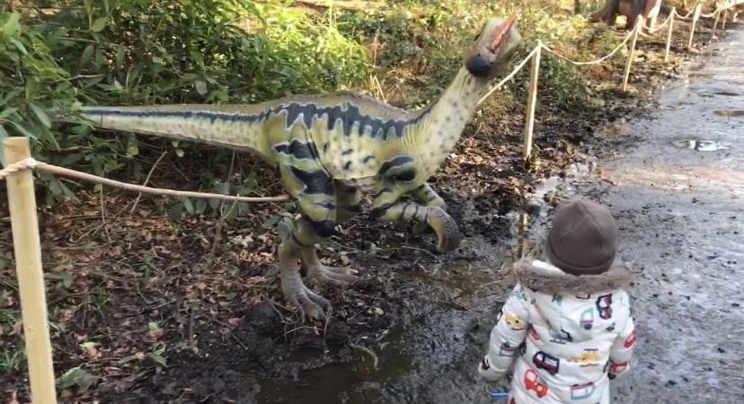 Get up close and personal with the dinosaurs on the trail at Arley Hall (Newsquest)