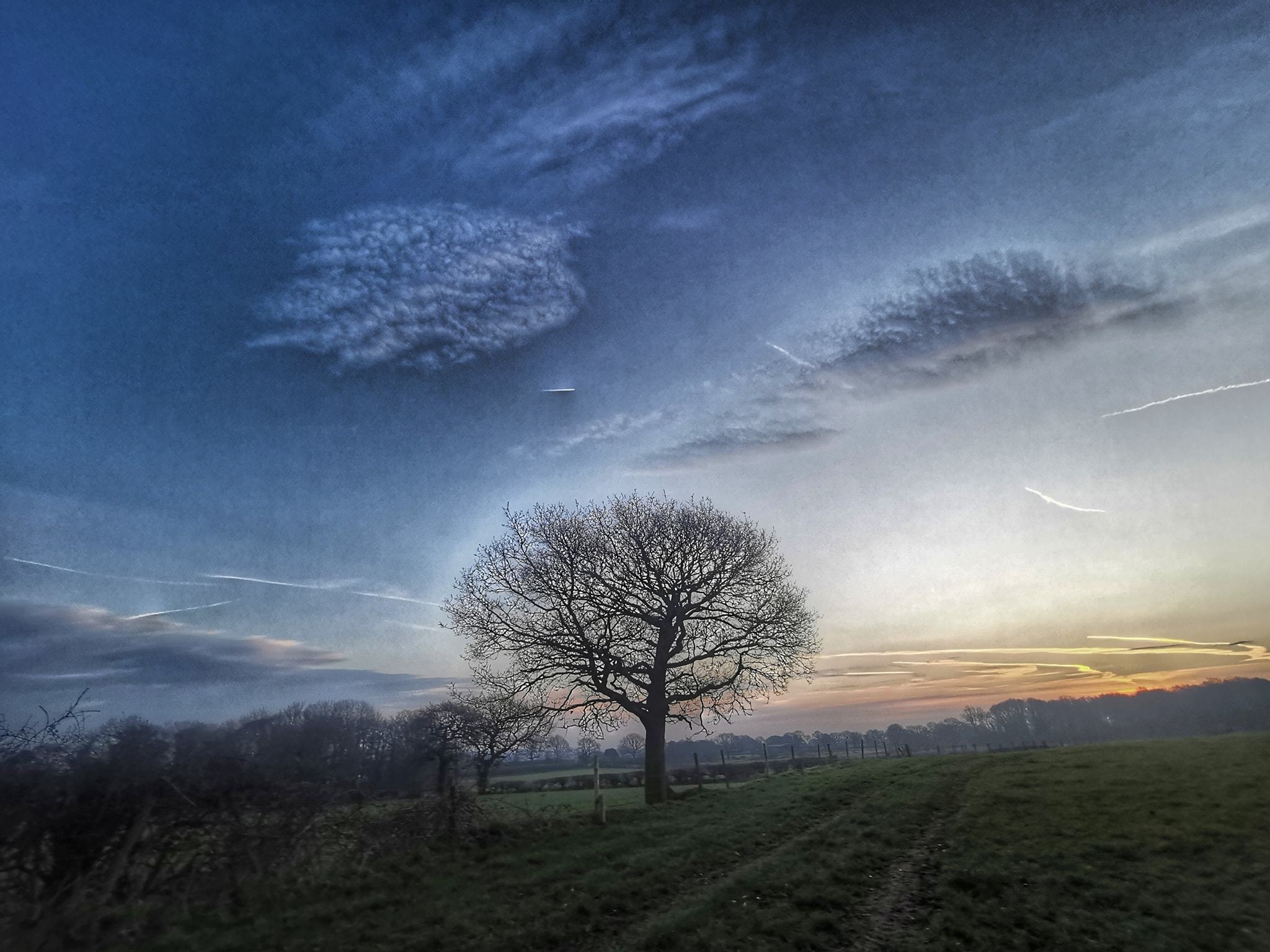 Morning skies in Barnton by Patricia Dyson