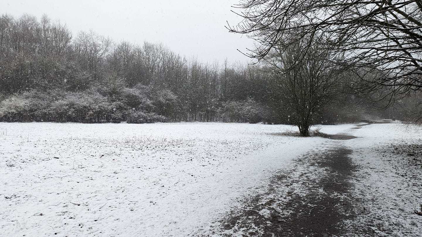 A white out walking from The Uplands towards Anderton Boat Lift by Lesley Haynes