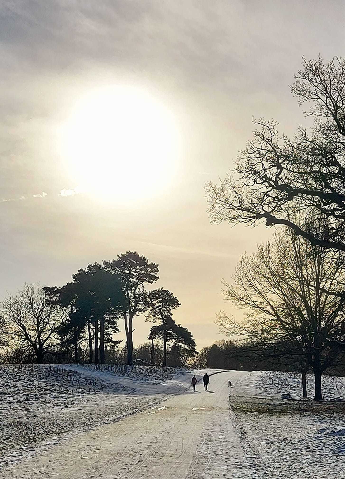 A walk in the snow at Tatton Park by Miriam Elder