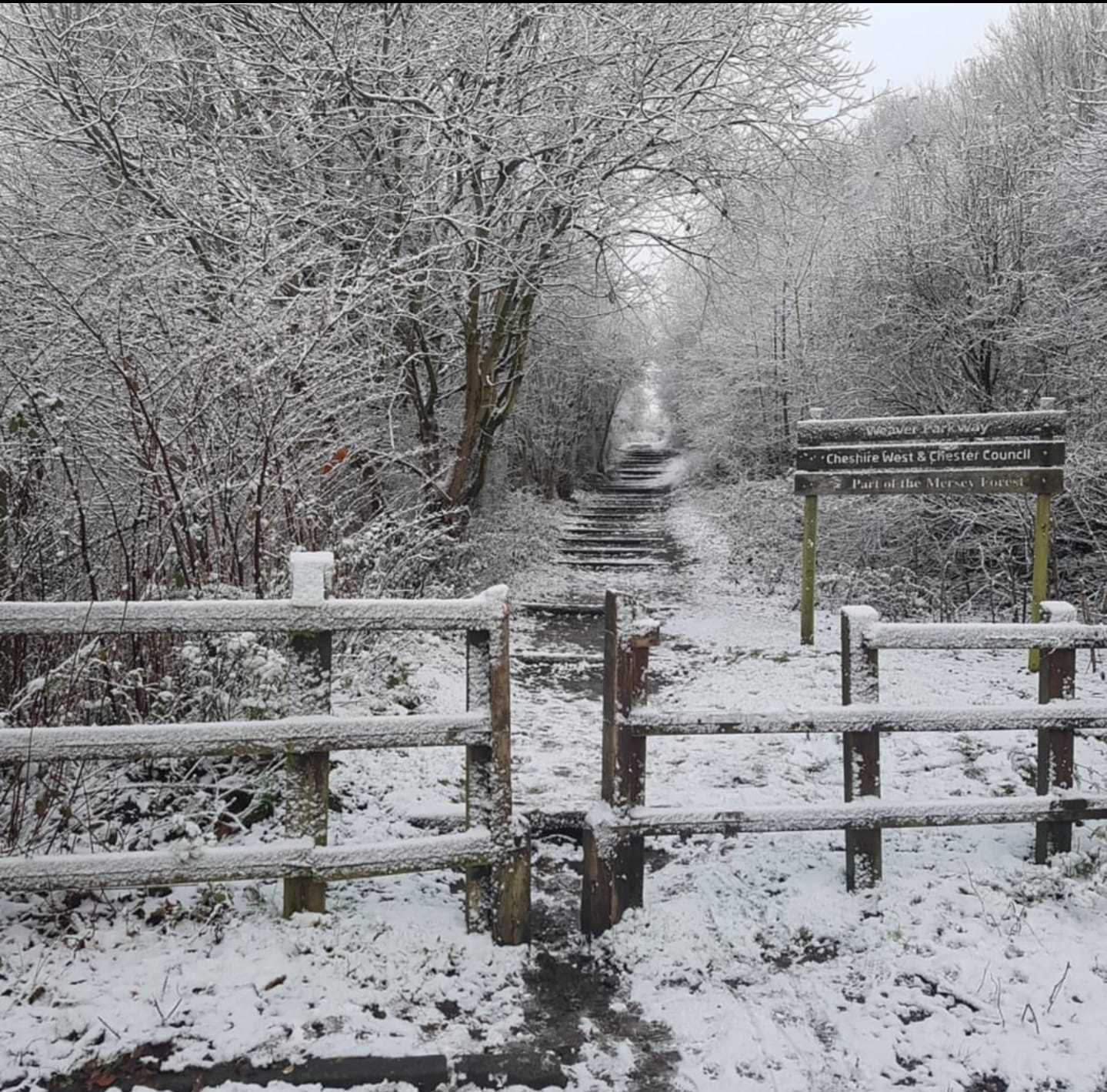 Steps up to the common in Winsford by Adam Such