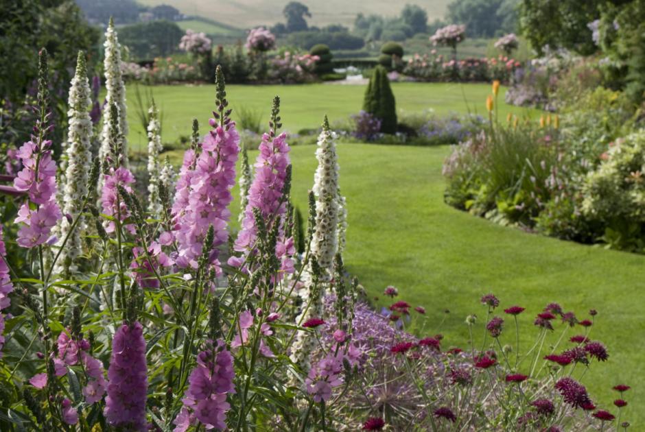 19 secret gardens in Mid Cheshire open to the public this summer 