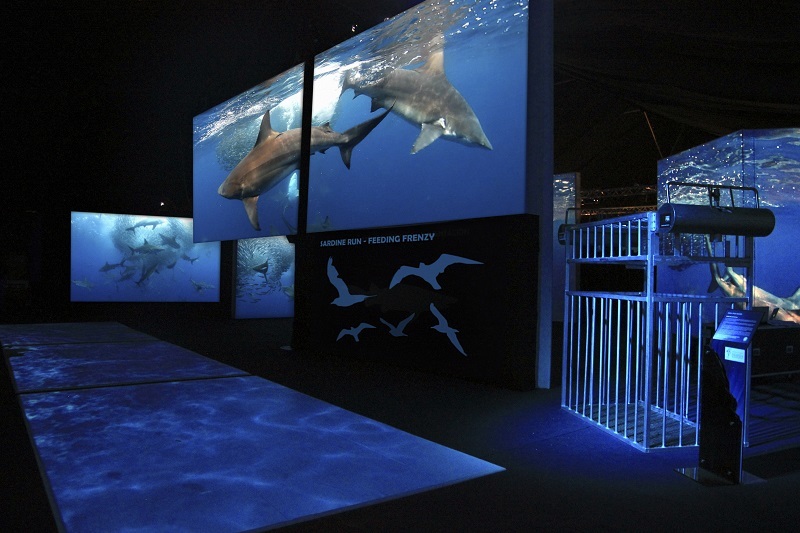 Chester Zoo reveals the UKs first out of water shark experience, Planet Shark. Pictures: Chester Zoo.