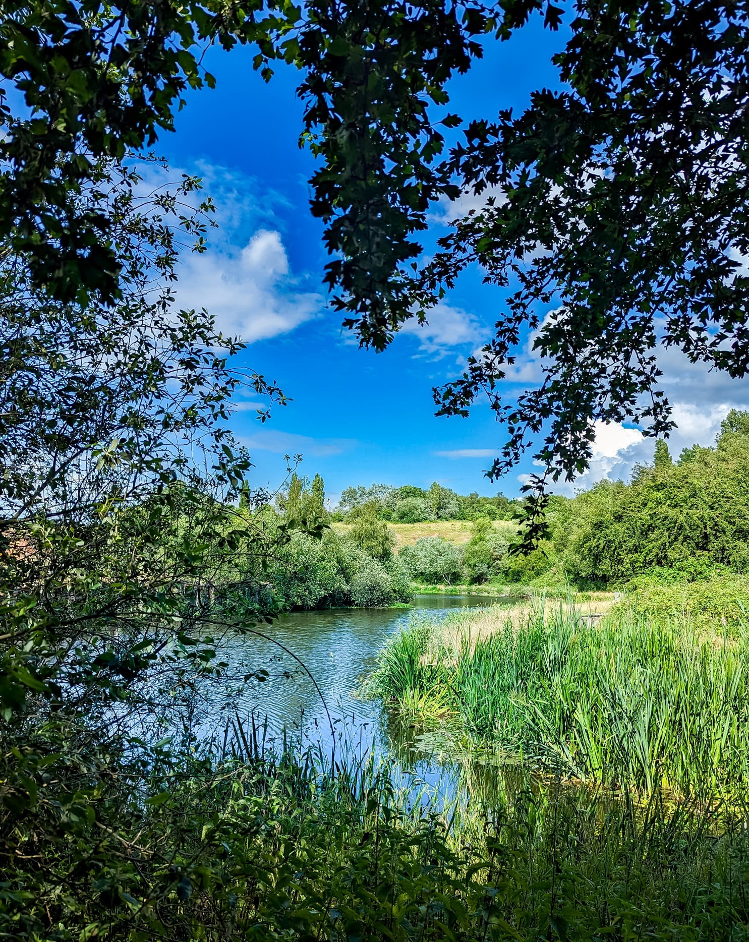 Down by the river on Winsford common by Stacey Jones