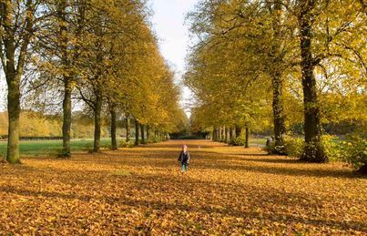 Walking through the leaves at Marbury Park by Paul Macready