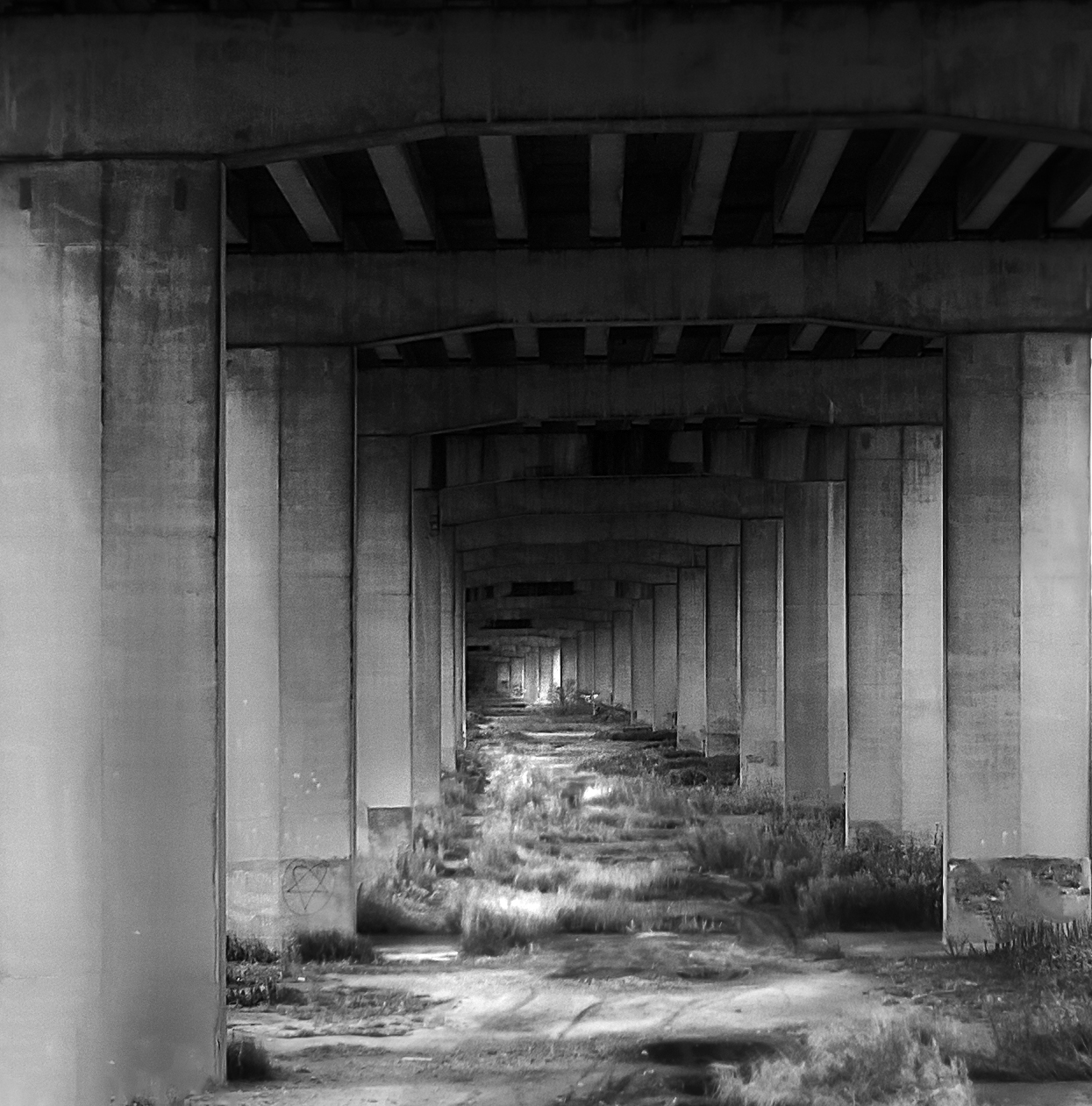 The river Weaver under the M56 by Terry Dixon