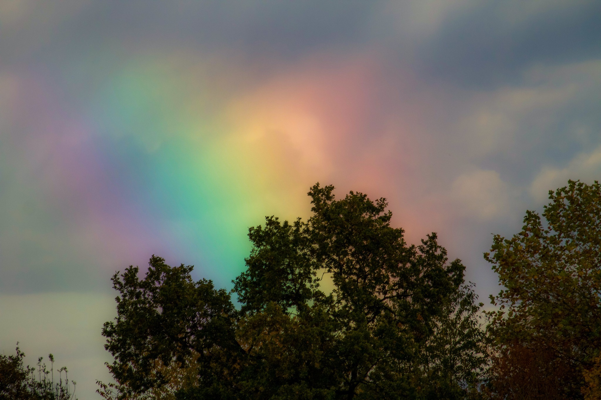 Rainbow skies by Heather Wilde