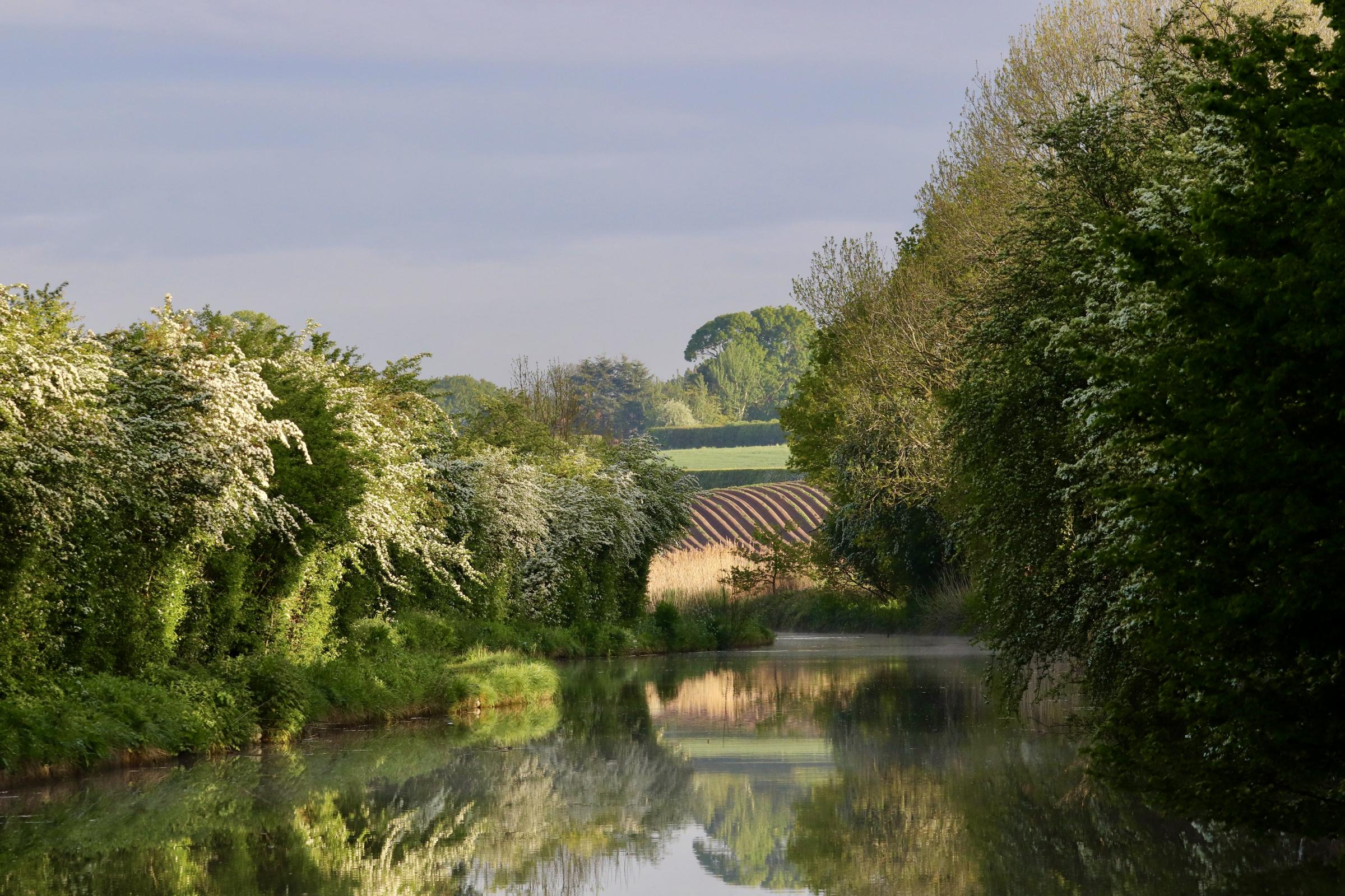 Early morning on the Trent Mersey Canal near Acton Bridge