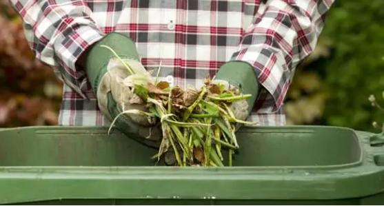 Cheshire West: Garden waste collection fee increases to £50 