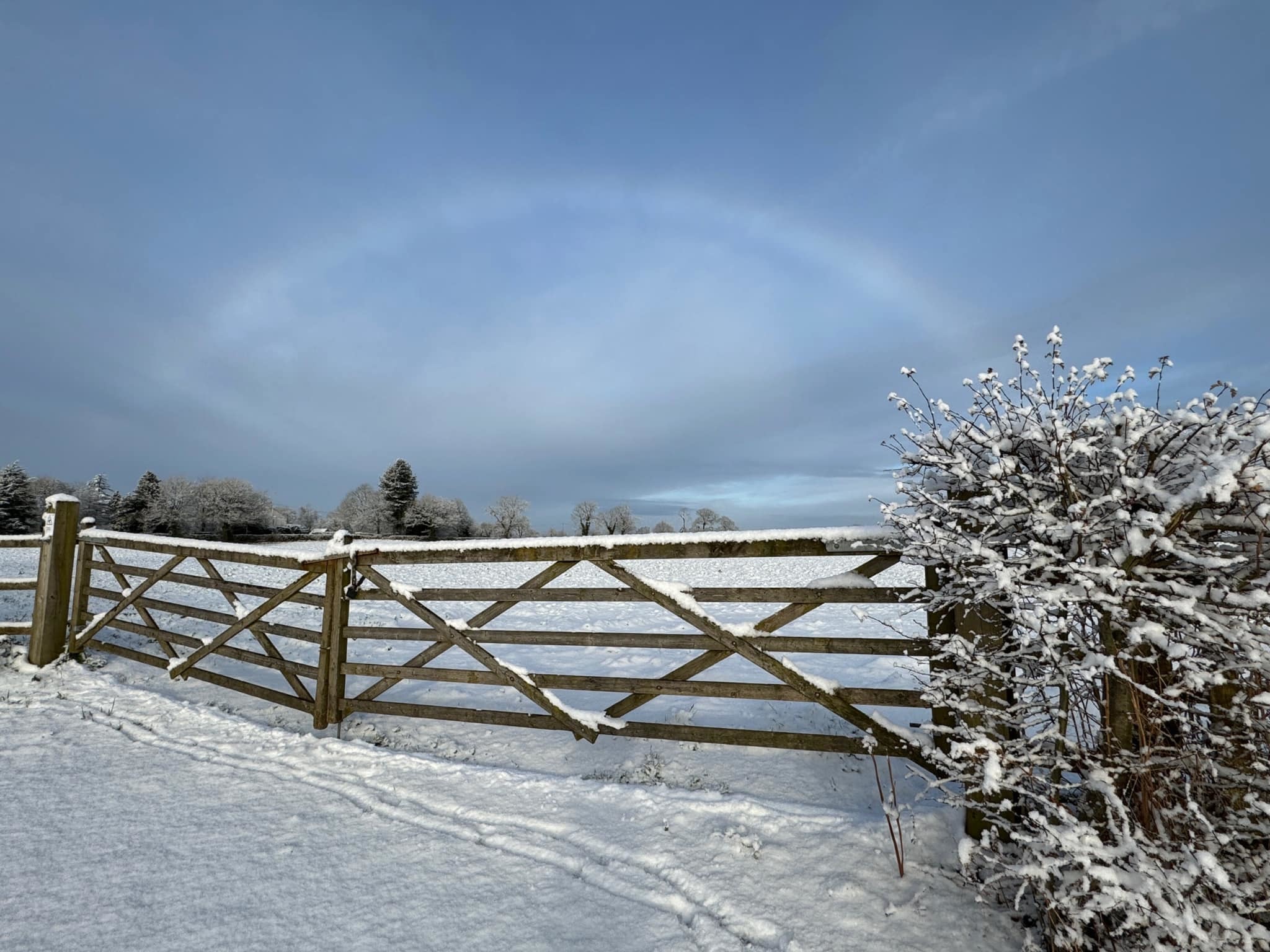 Snowbow in Antrobus by Sue Lawless