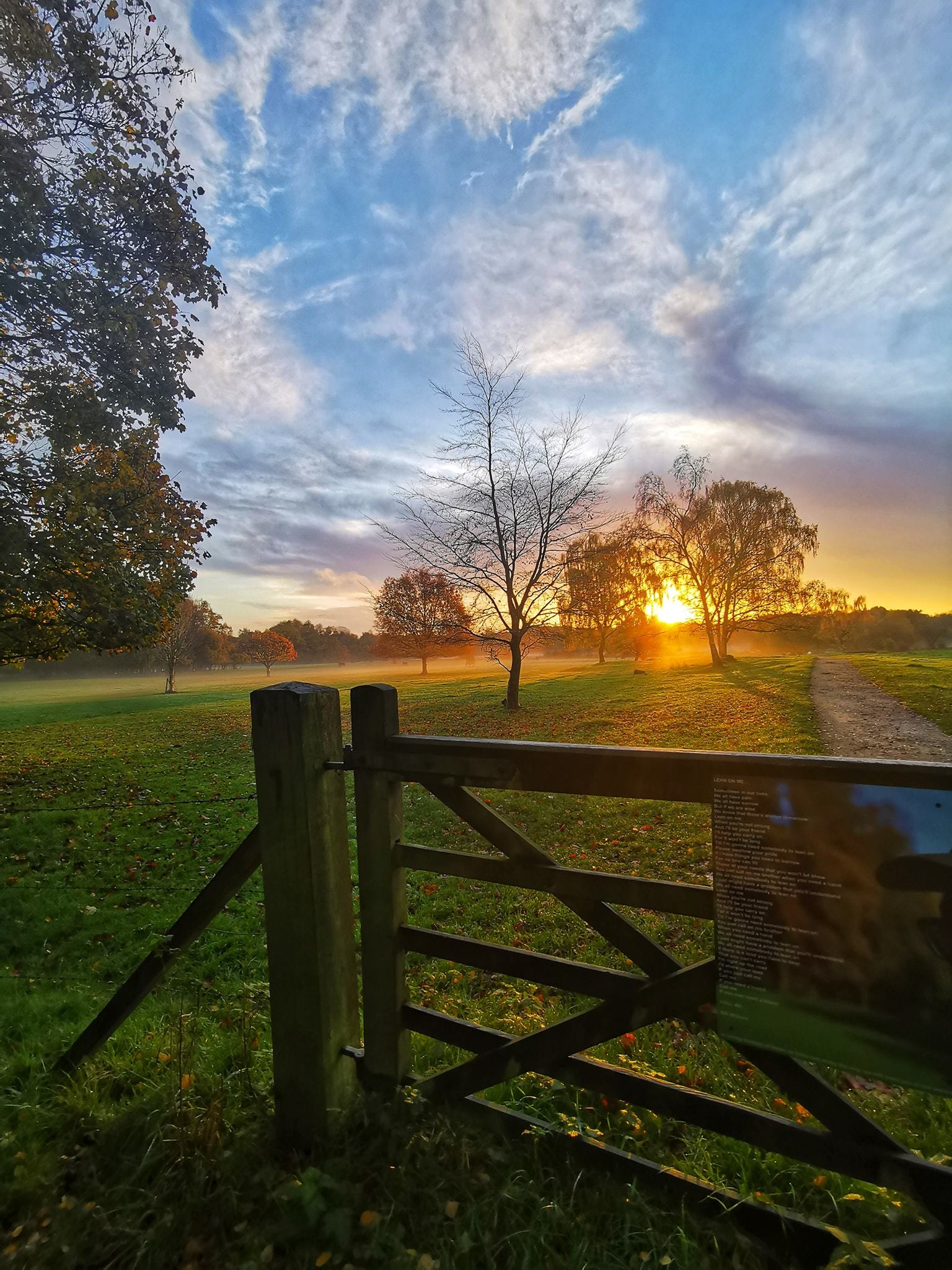 Spring sunrise at Marbury by Patricia Dyson