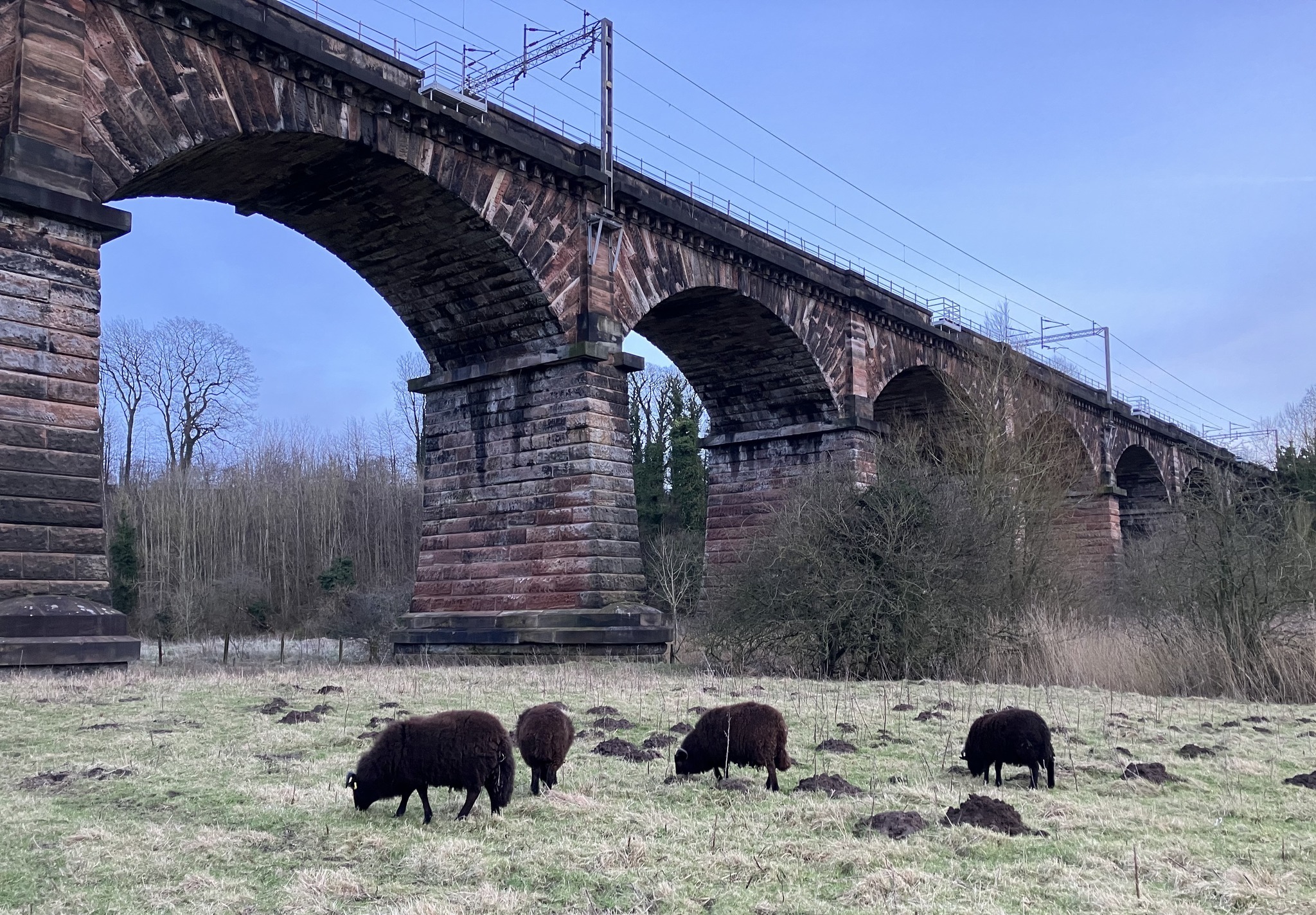 Dutton viaduct by Wendy Mahon