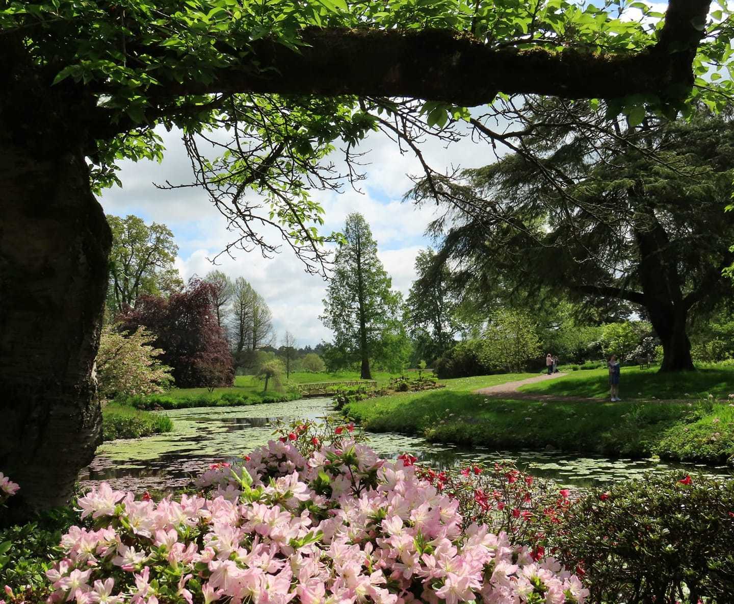 Cholmondeley Castle Gardens by Suzy Makin