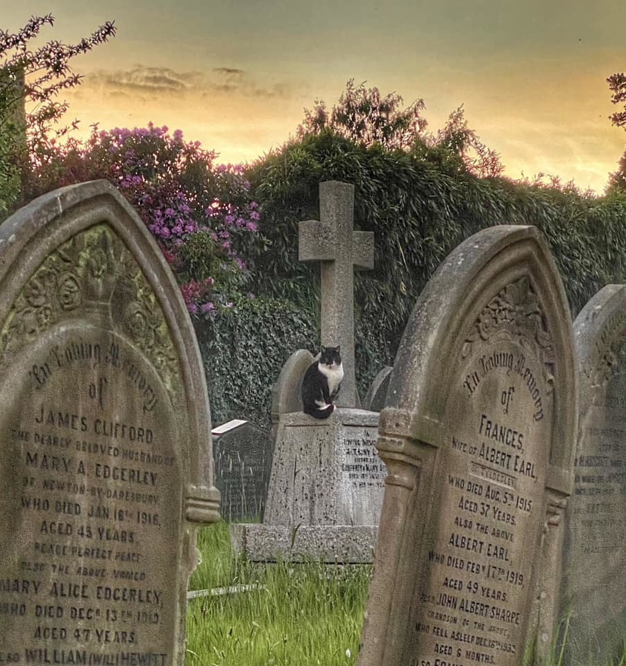 Great Budworth graveyard by Alison Hamlin Hughes