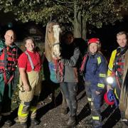 A horse named Clive is safe and well after being trapped in fast flowing water by firefighters Pictures: Cheshire Fire and Rescue Service