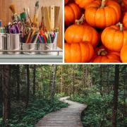 Autumn activities in Cheshire for all the family to enjoy (Canva)