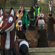 Photographs of the Gruffalo's friends. Credit: Delamere Forest - Forestry England